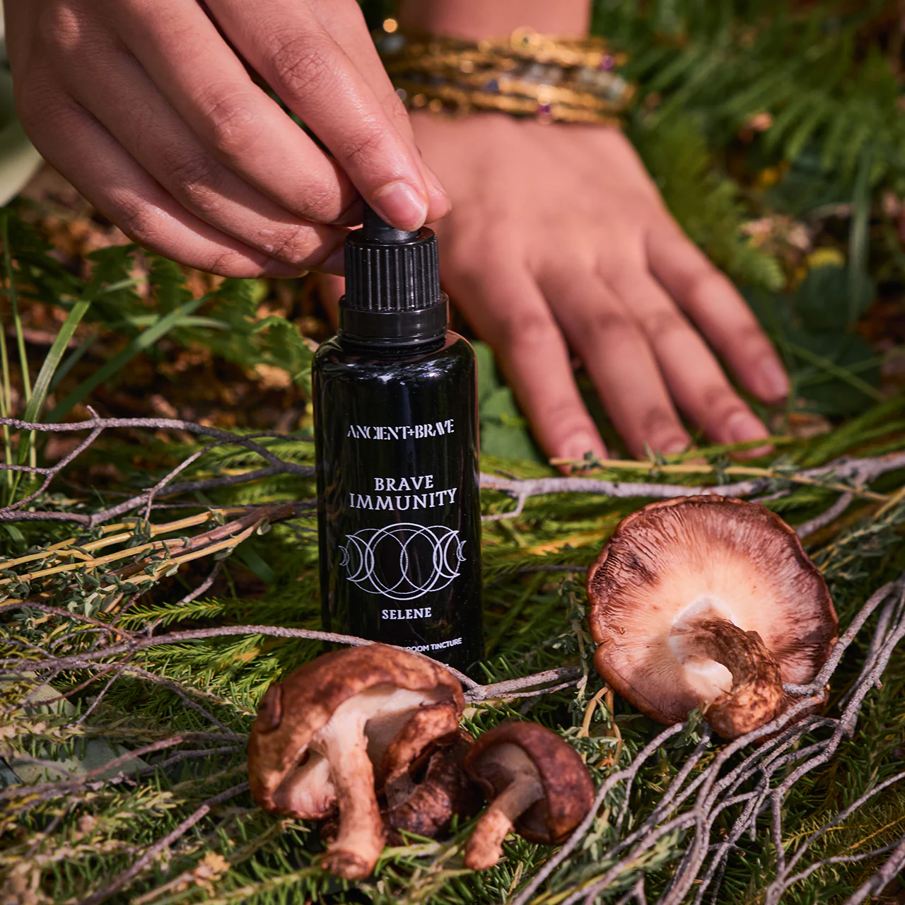 Ancient + Brave Immunity Mushroom Tincture - Image 8