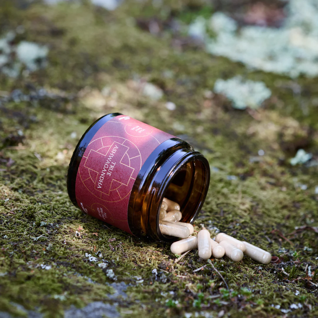 Ancient + Brave True Ashwagandha - Image 3