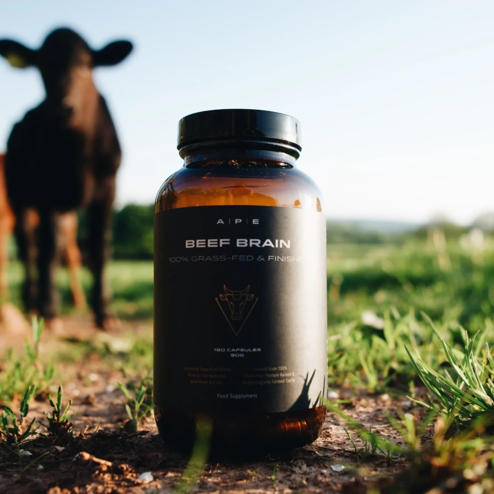 Ape Nutrition Beef Brain - Image 6