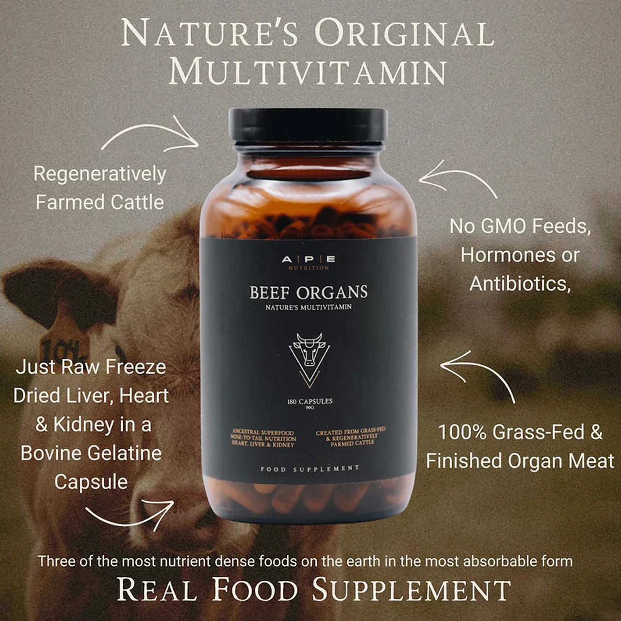 Ape Nutrition Grass-Fed Beef Organs - Image 3