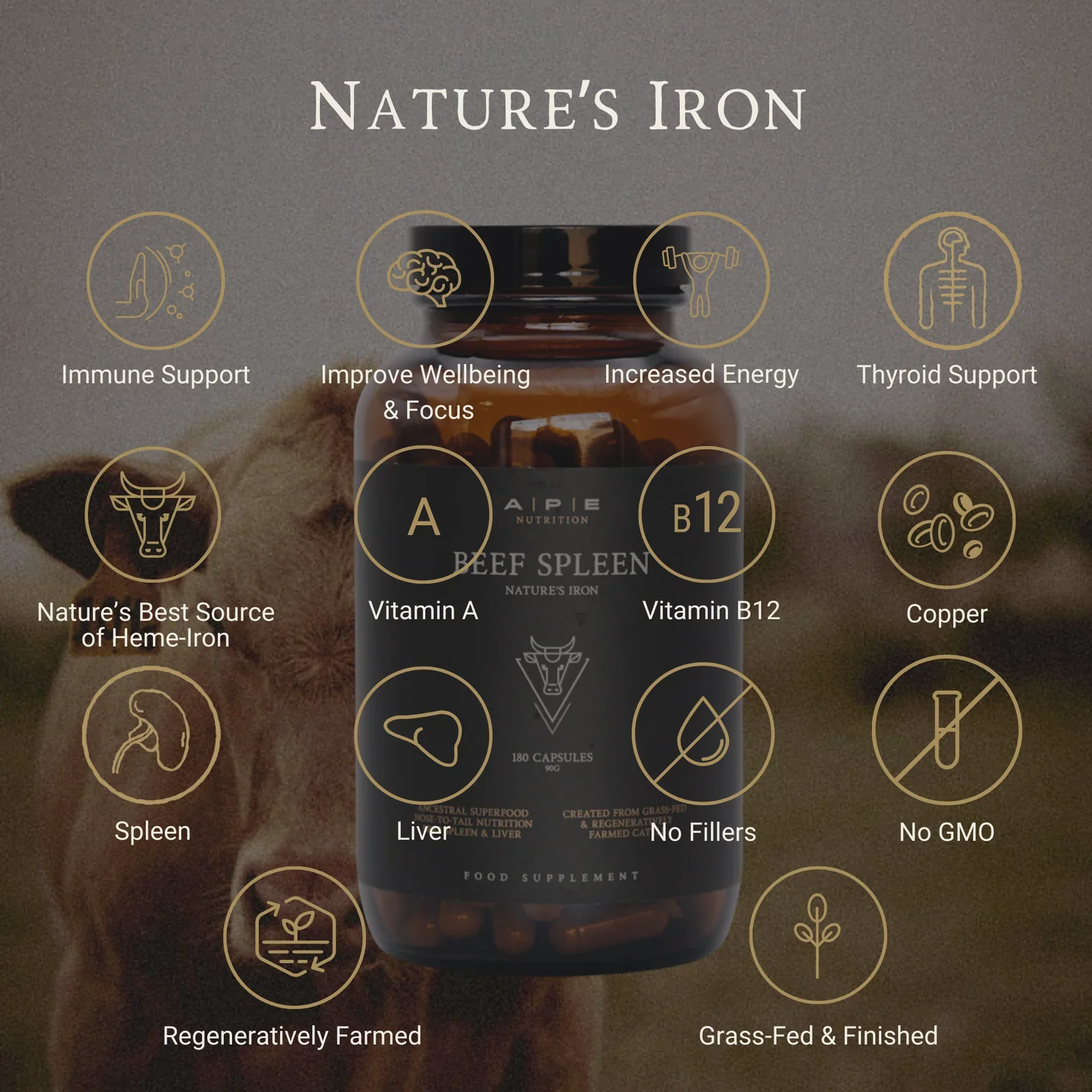 Ape Nutrition Grass-Fed Beef Spleen - Image 3