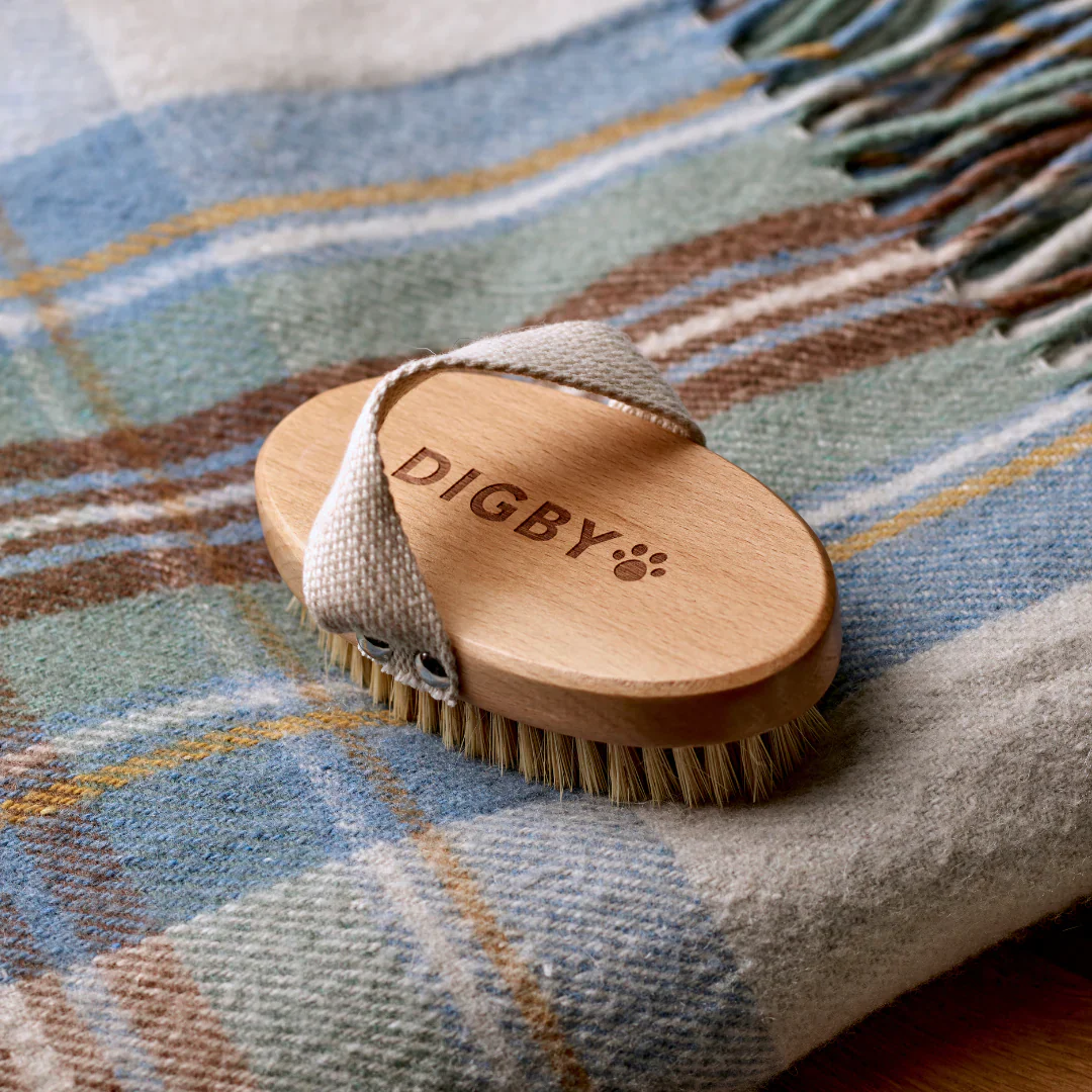 Bramley Digby Dog Brush - Image 3