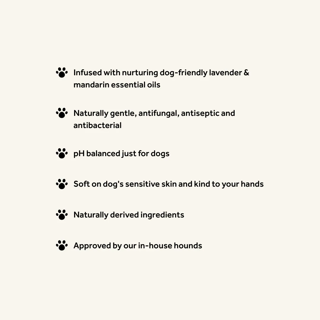 Bramley Digby Dog Wash - Image 4