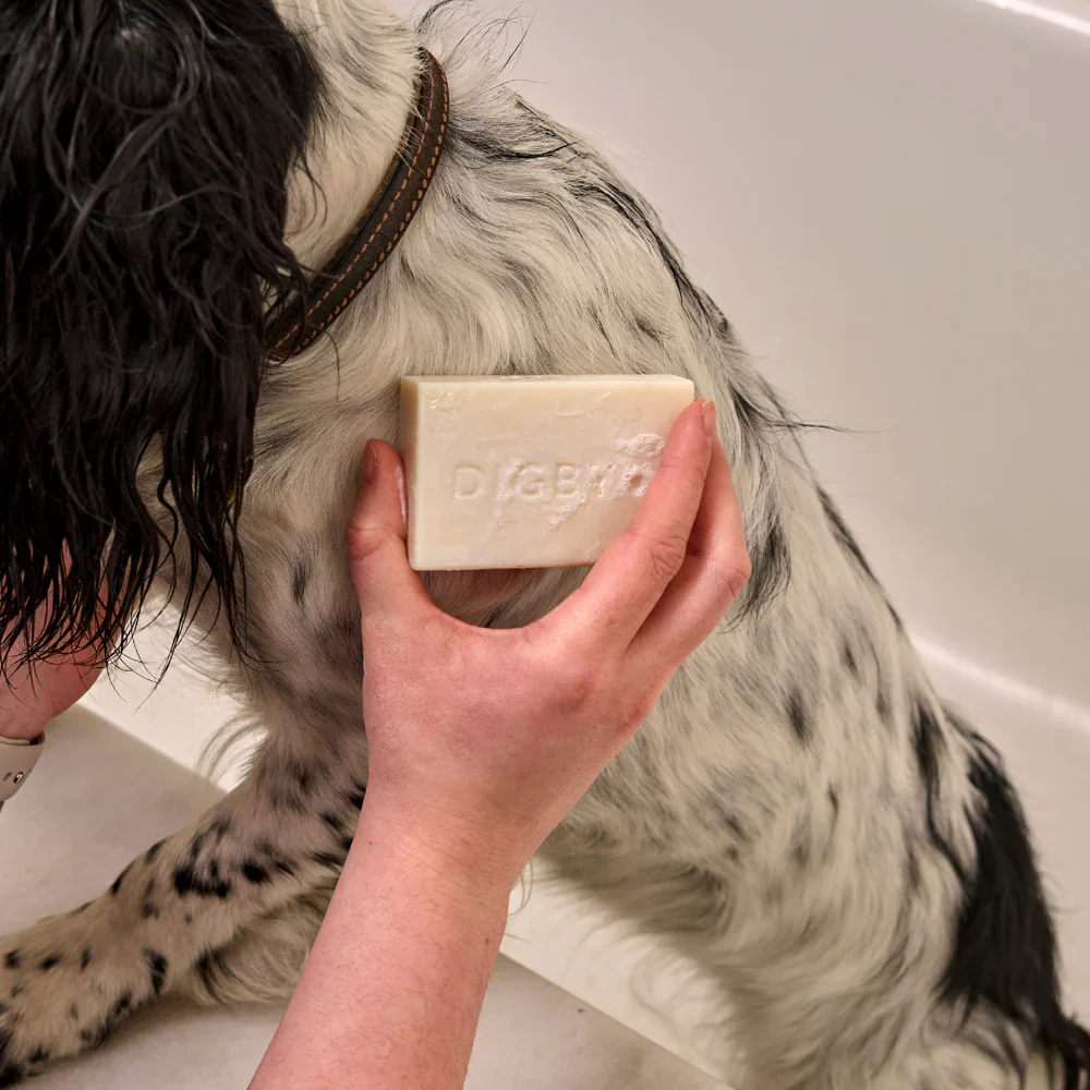 Bramley Digby Shampoo Bar - Image 2