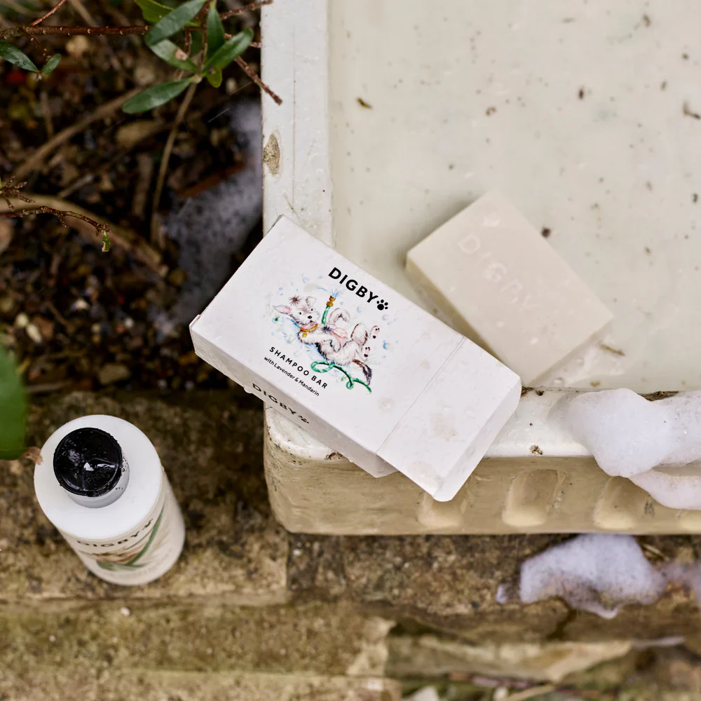 Bramley Digby Shampoo Bar - Image 3