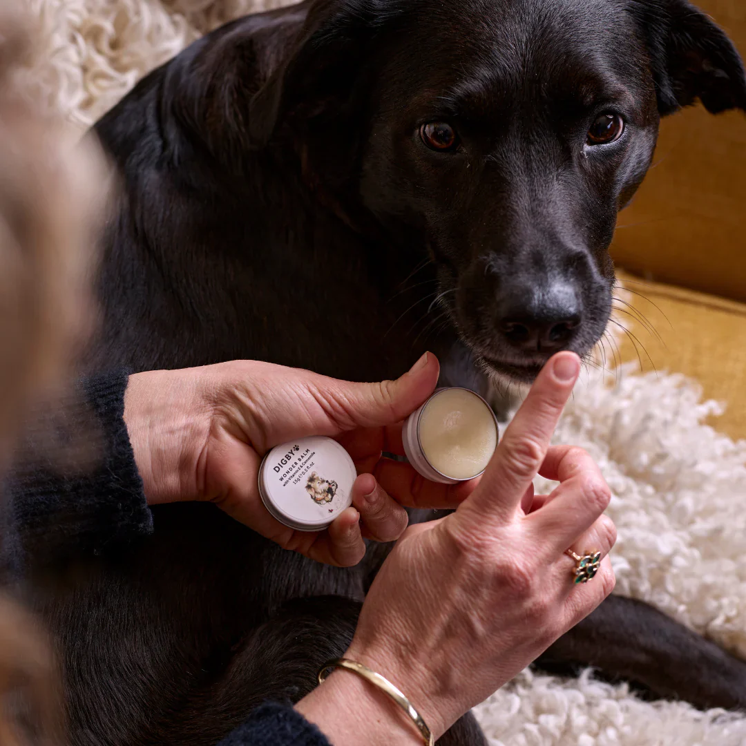 Bramley Digby Wonder Balm - Image 2