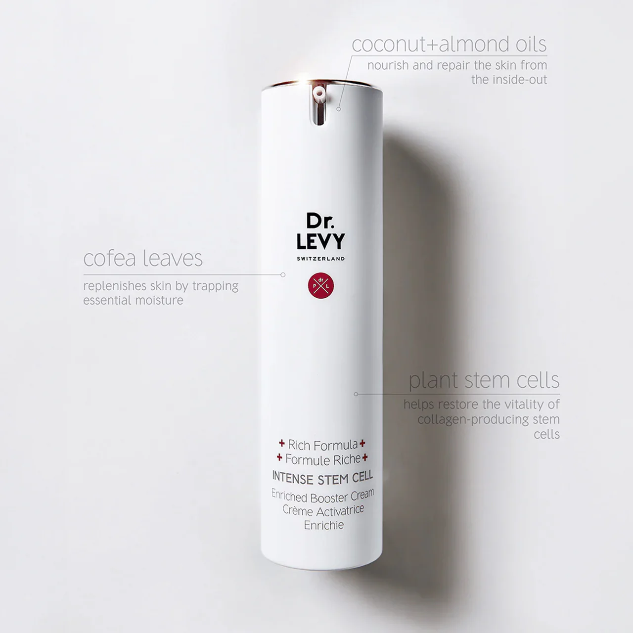 Dr. LEVY Switzerland Enriched Booster Cream - Image 4