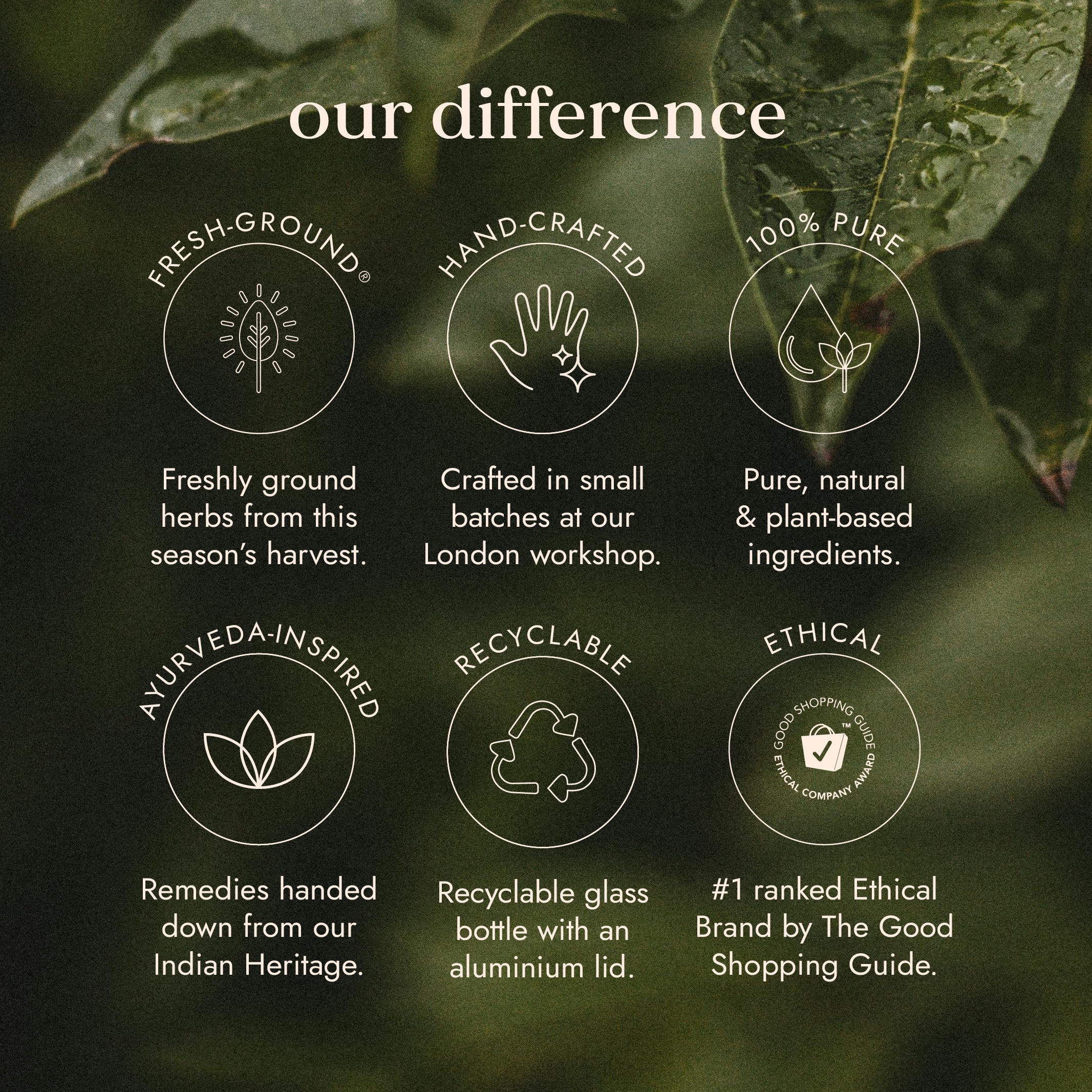 Fushi Monthly Harmony - Image 8