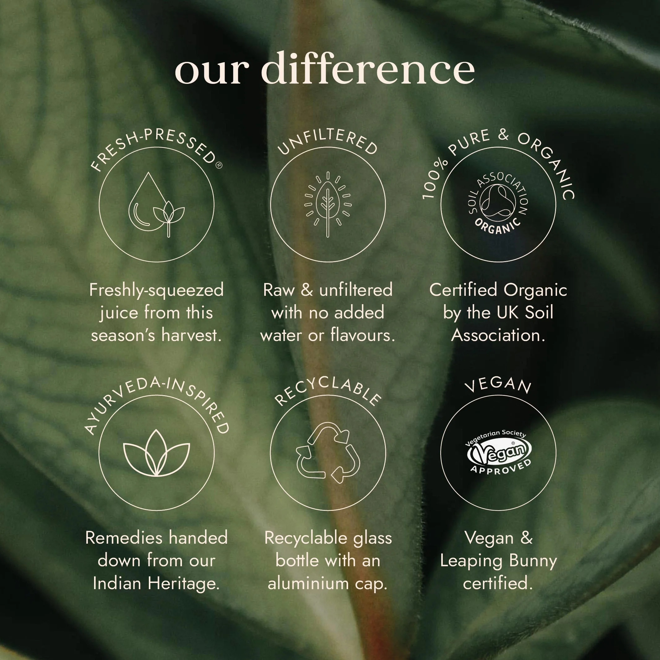Fushi Organic Aloe Vera Juice - Image 10