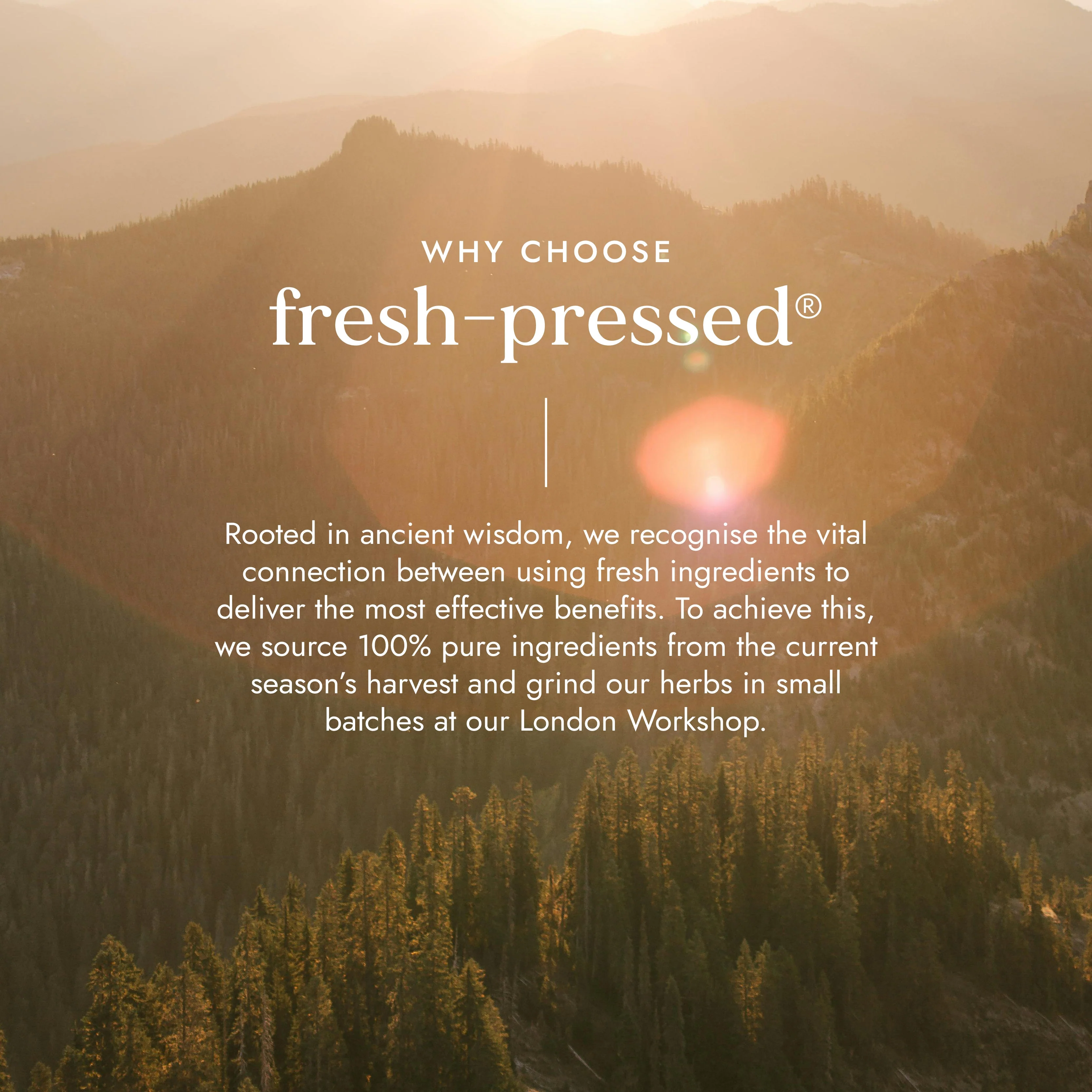 Fushi Organic Evening Primrose Oil - Image 6