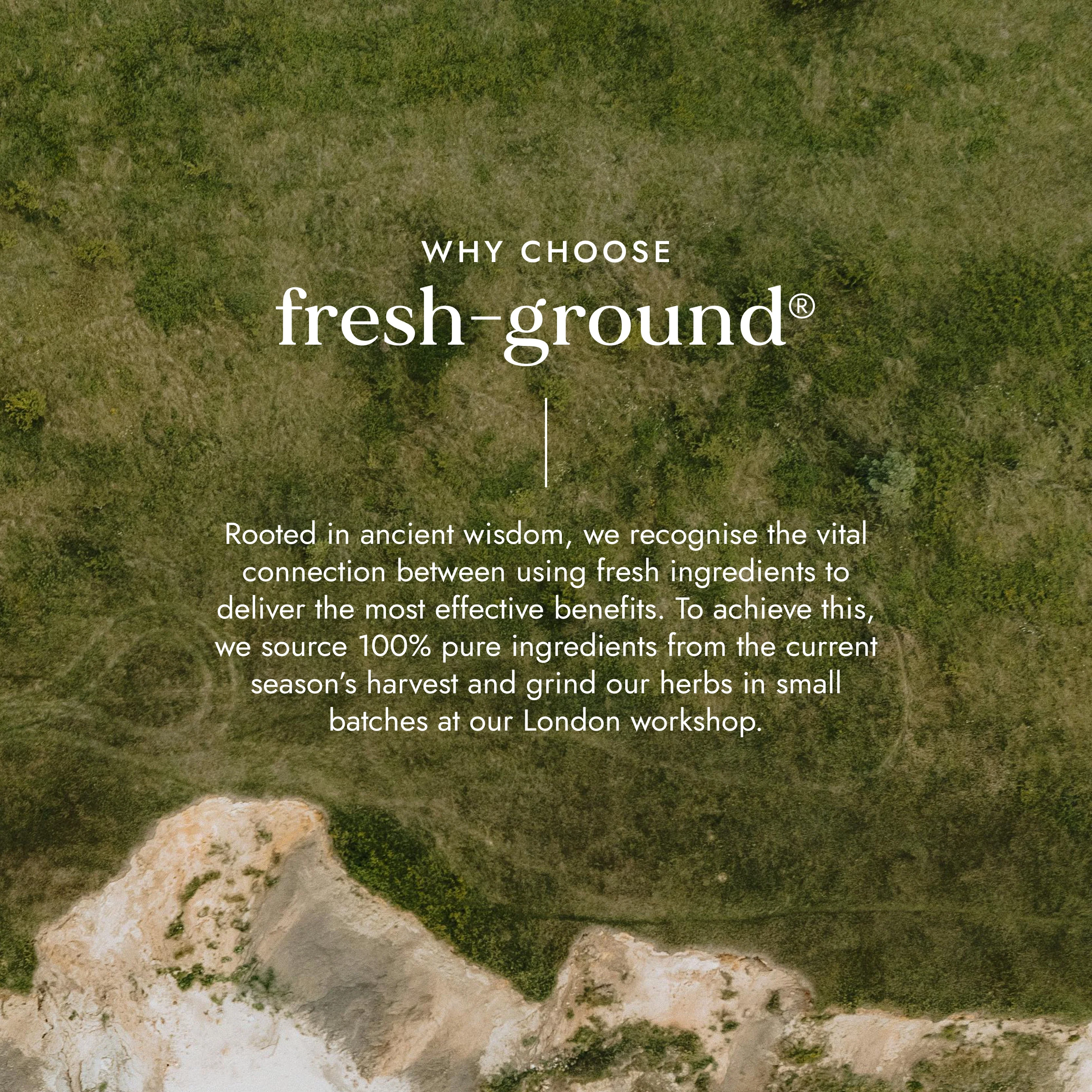 Fushi  Organic Gurmar Leaf - Image 3