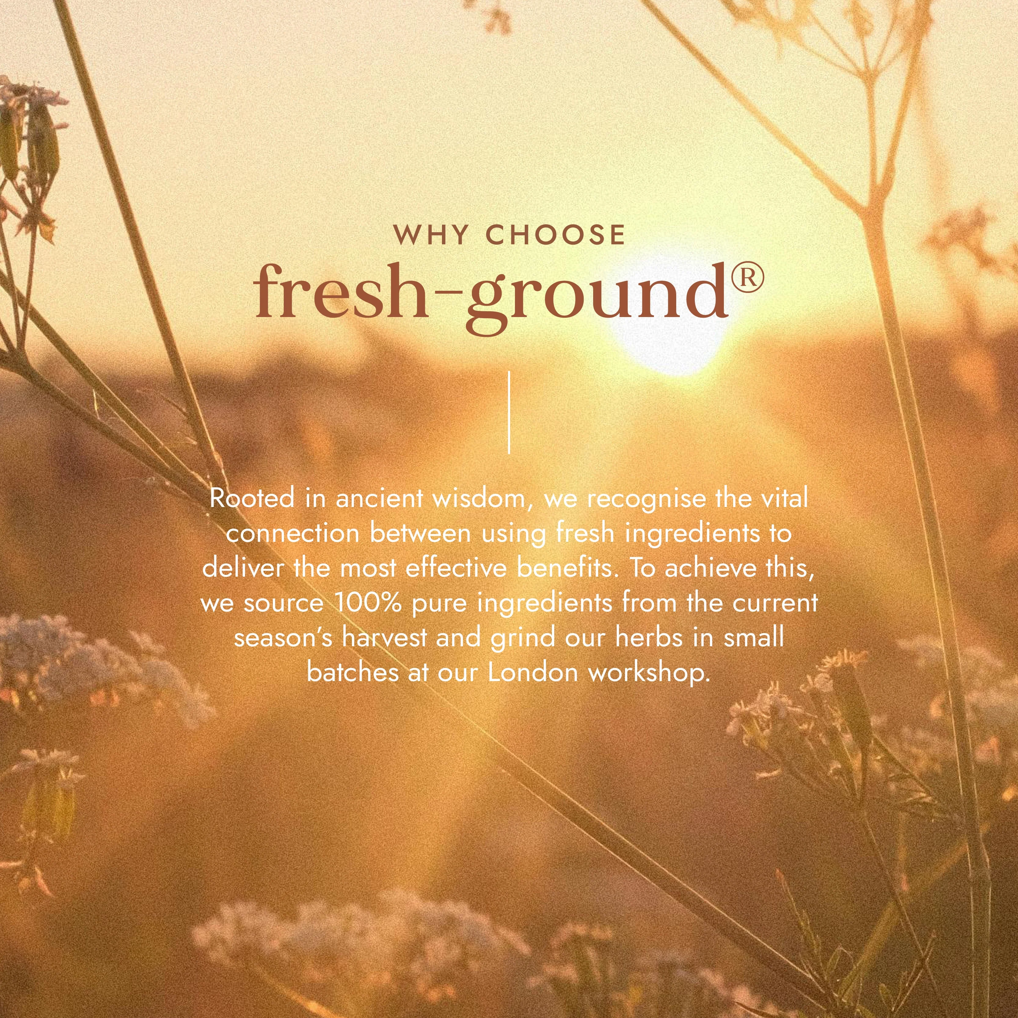 Fushi Organic Manjistha - Image 3