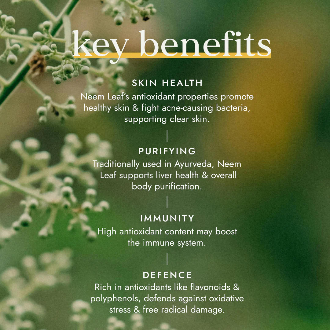Fushi Organic Neem Leaf - Image 3