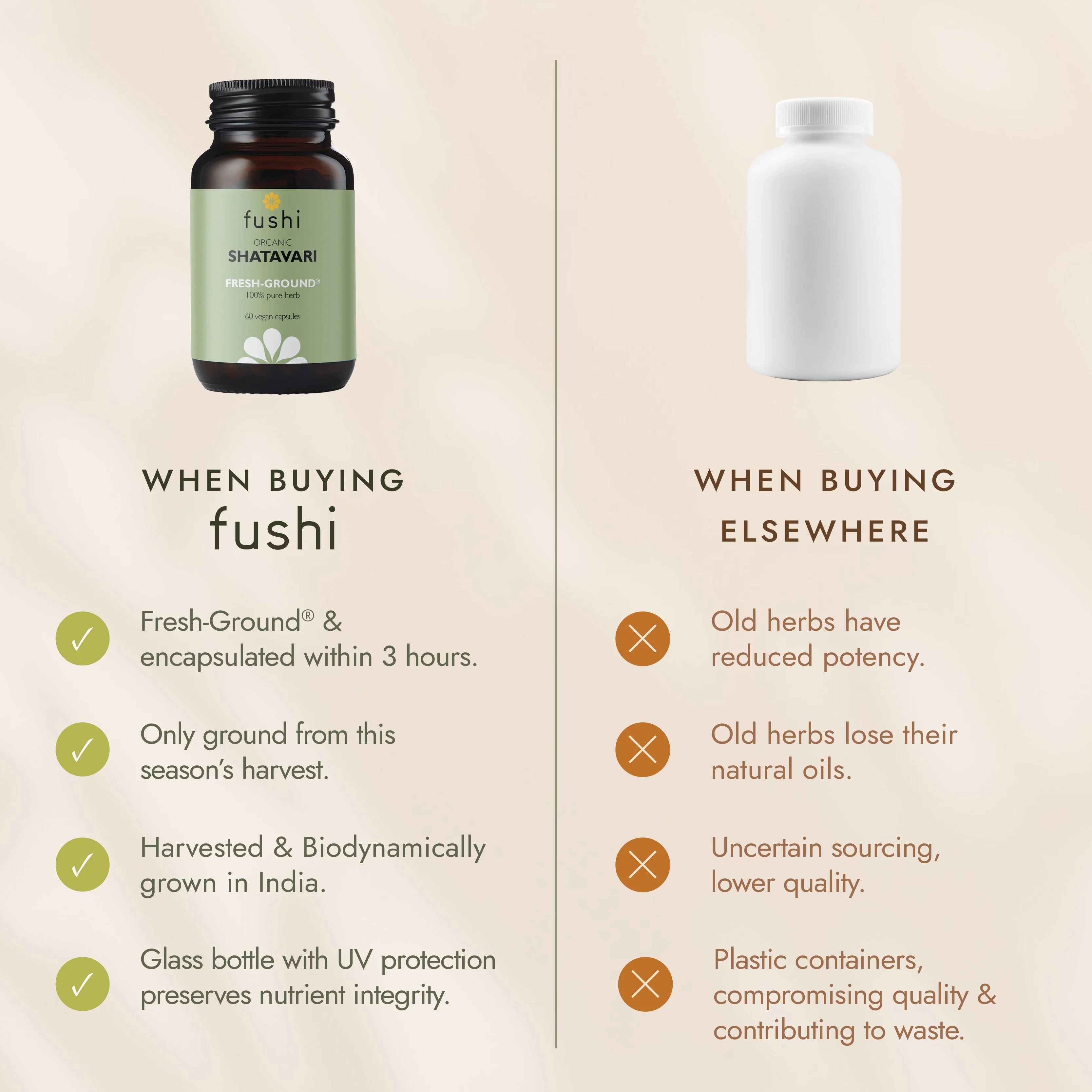 Fushi Organic Shatavari - Image 9