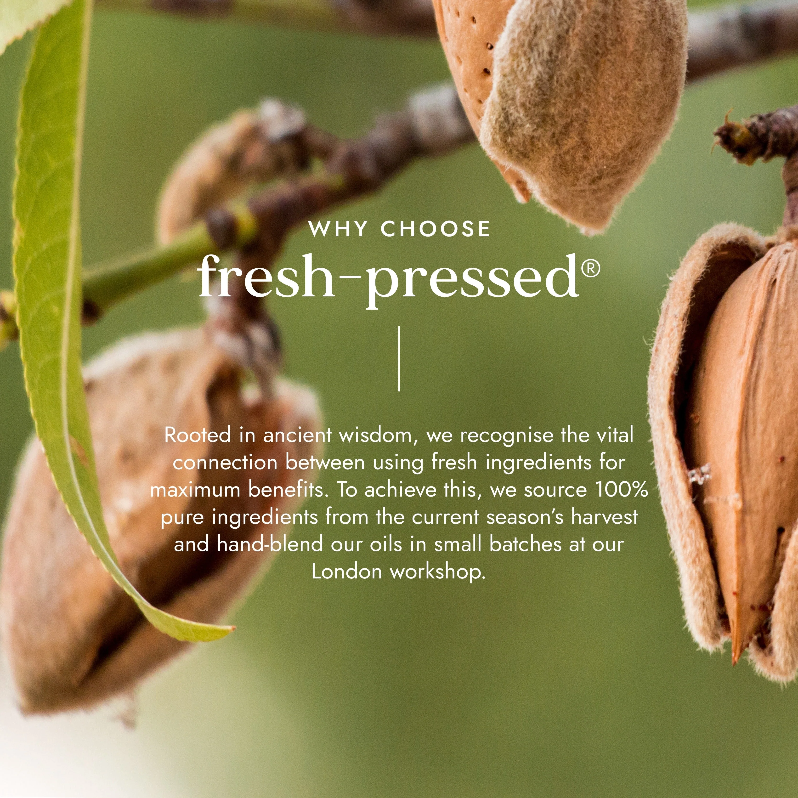 Fushi Organic Sweet Almond Oil - Image 4
