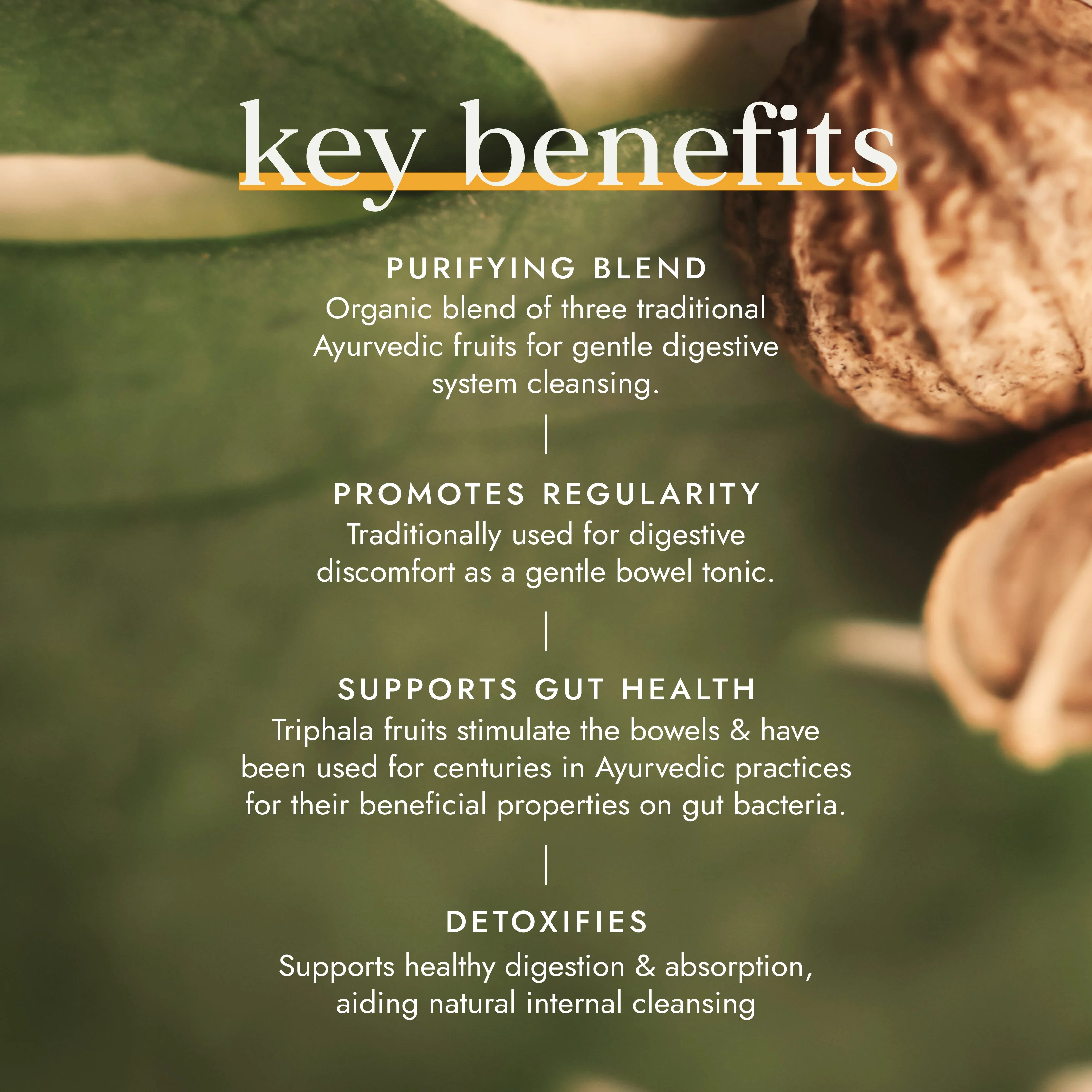 Fushi Organic Triphala - Image 3