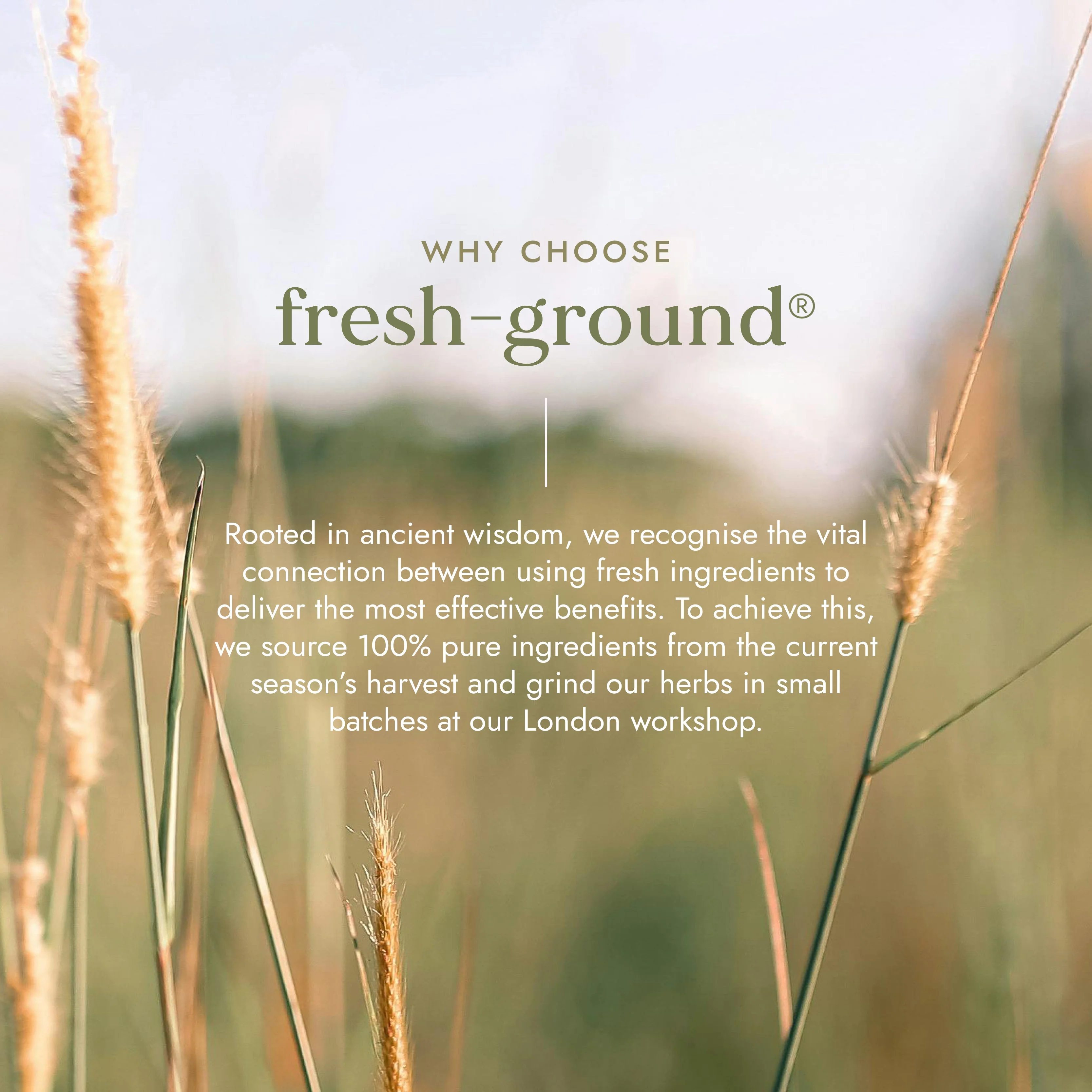 Fushi Organic Valerian - Image 3