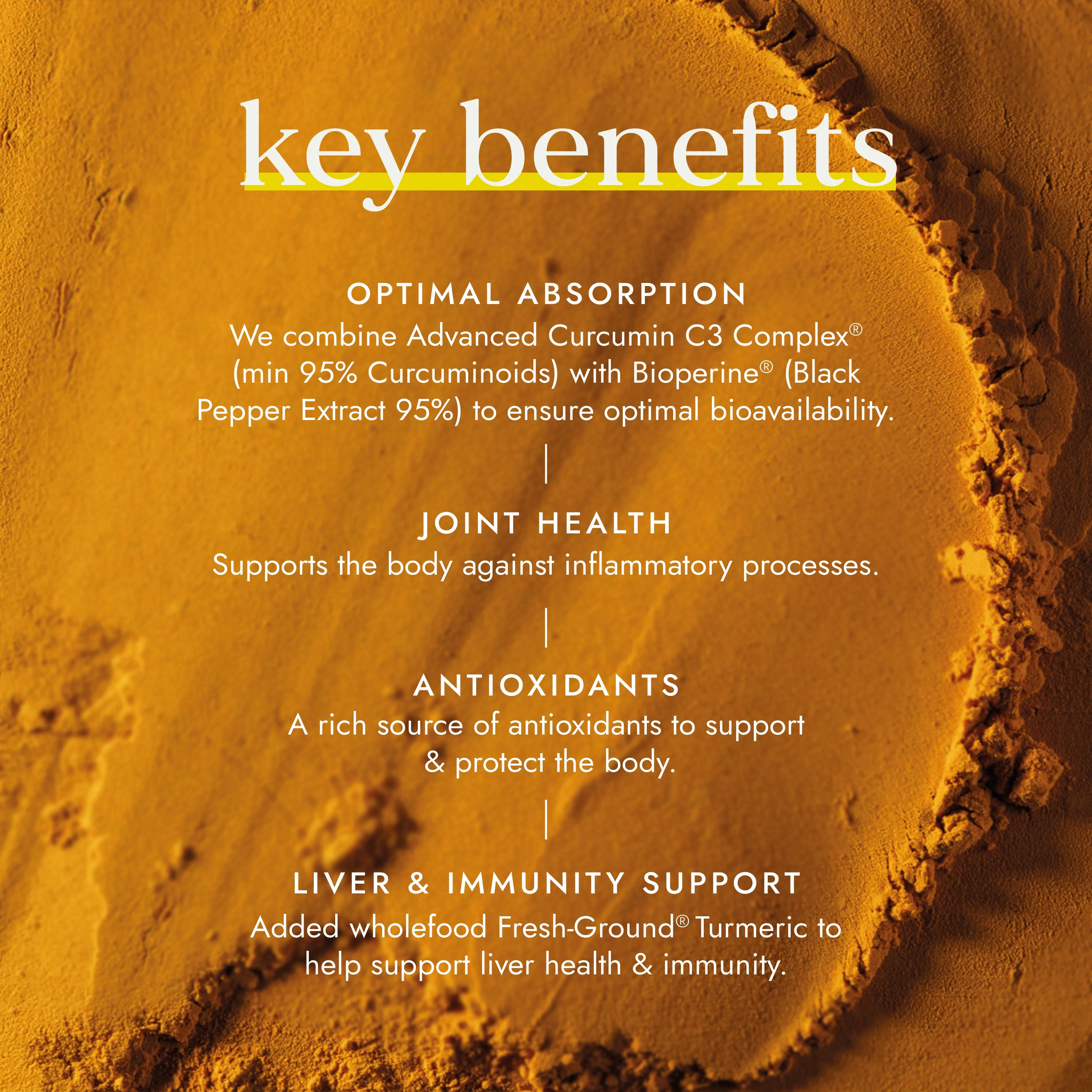 Fushi Turmeric Blend - Image 2