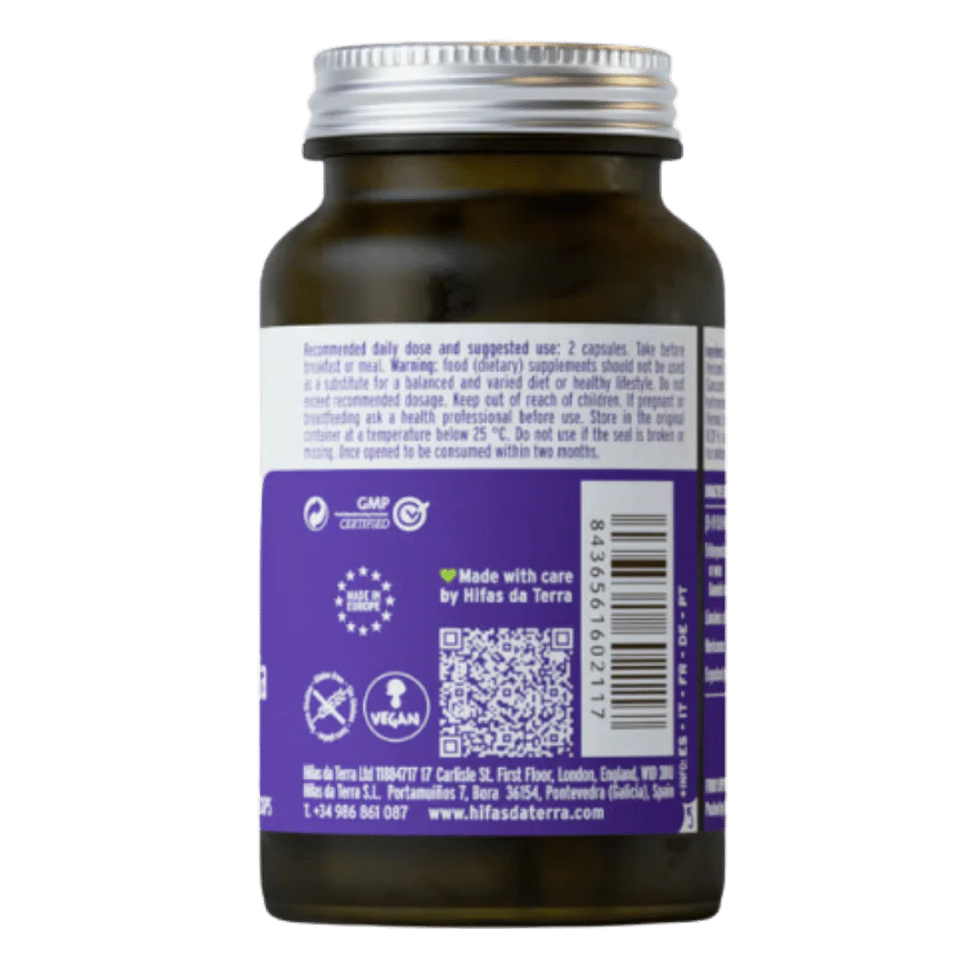 Hifas da Terra HIFAS - Microbiota - Image 3