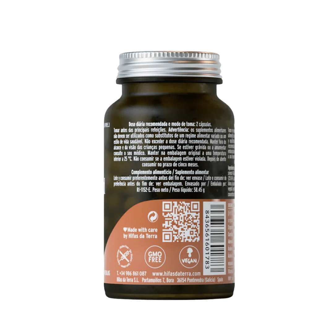 Hifas da Terra Mico-Cord - Image 3