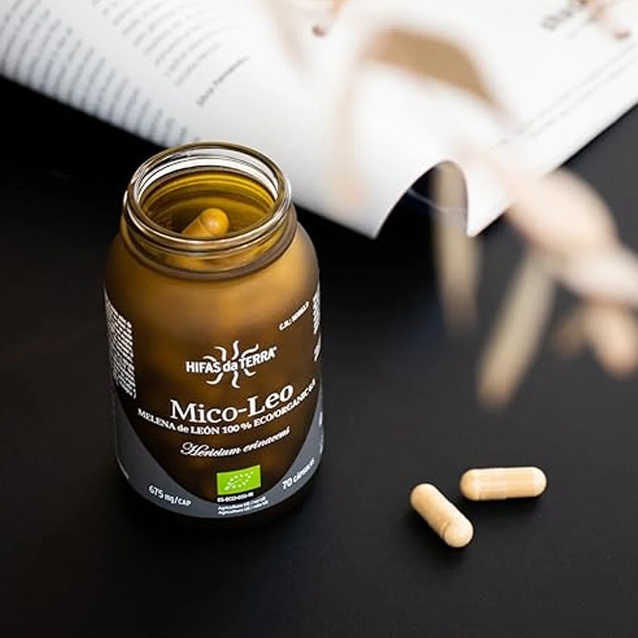 Hifas da Terra Mico-Leo - Image 3