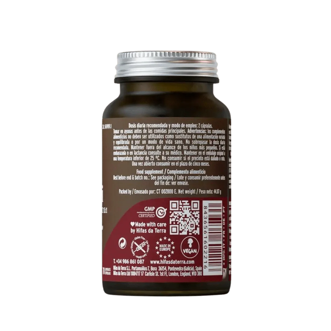 Hifas da Terra Mico-Rei - Image 4