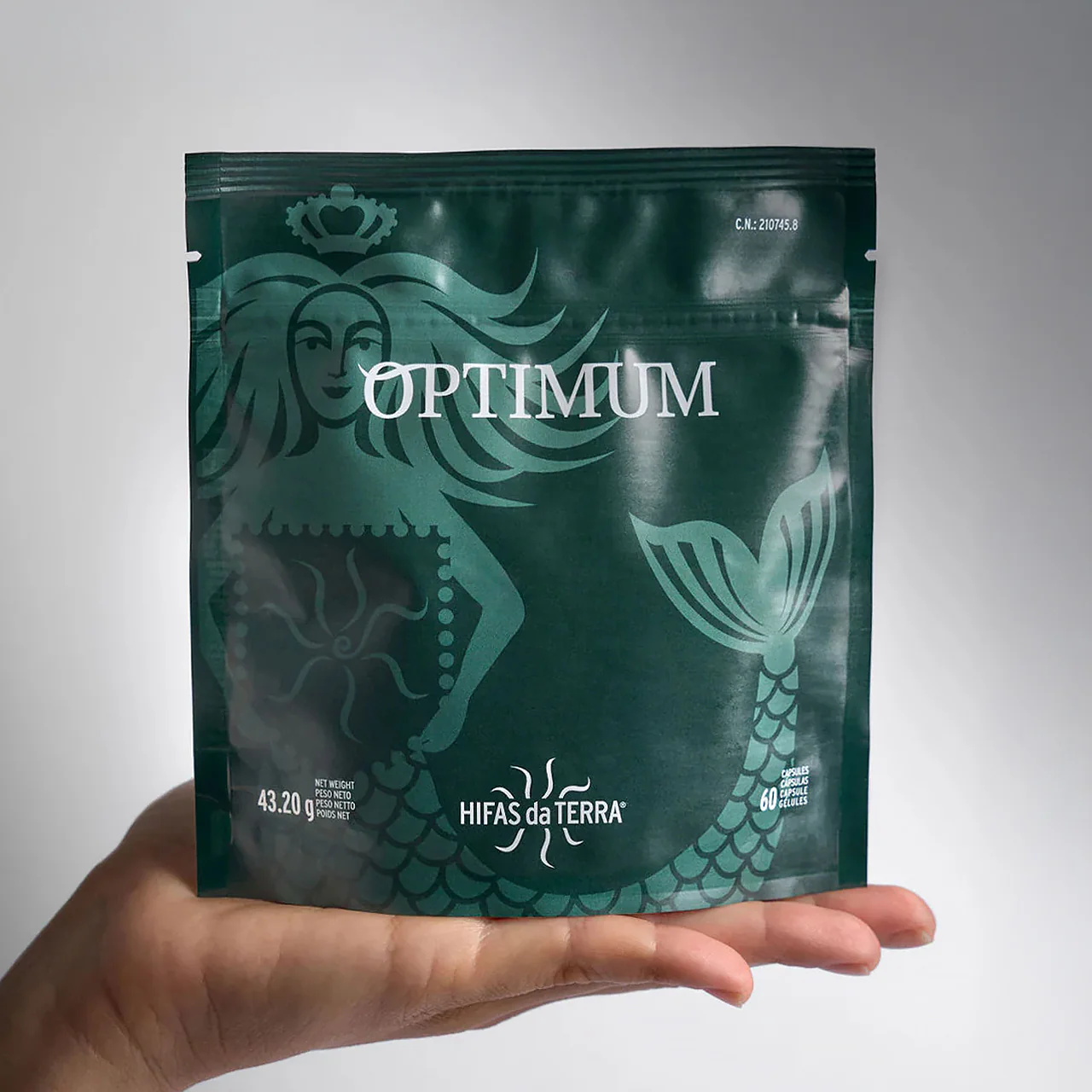 Hifas da Terra Optimum - Image 7