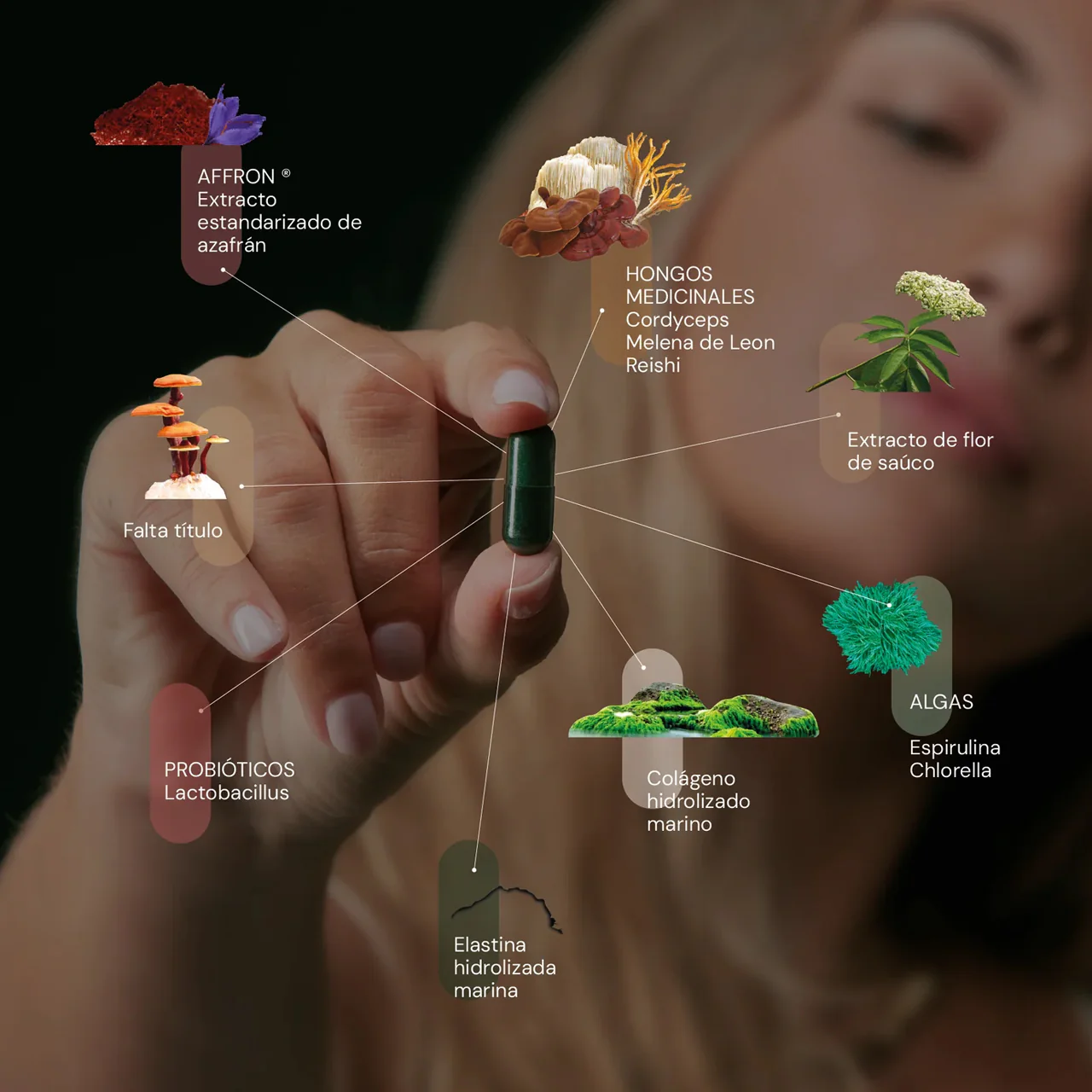 Hifas da Terra Optimum - Image 9