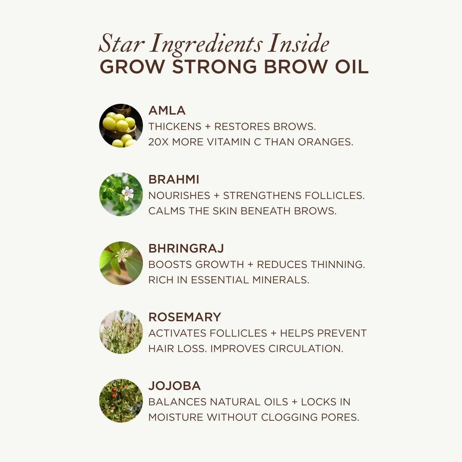 Mauli Rituals Grow Strong Brow Oil - Image 3