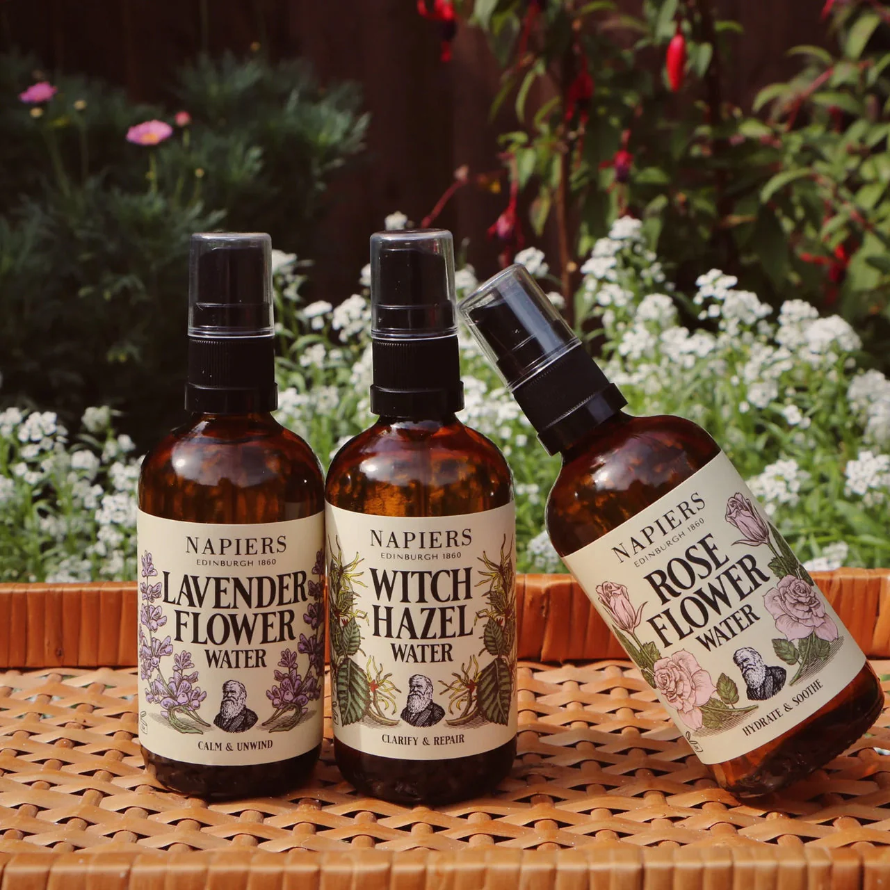 Napiers Witch Hazel Water - Image 2