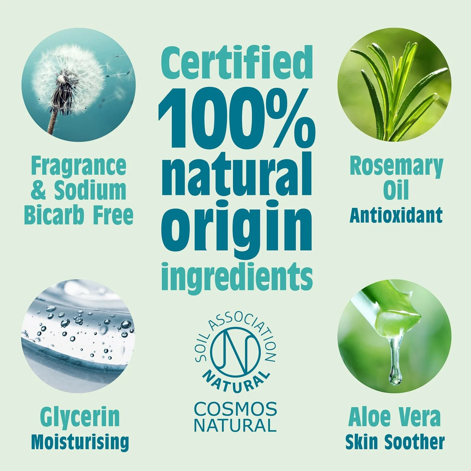 Salt of the Earth Natural Refillable Roll-On Deodorant - Image 6