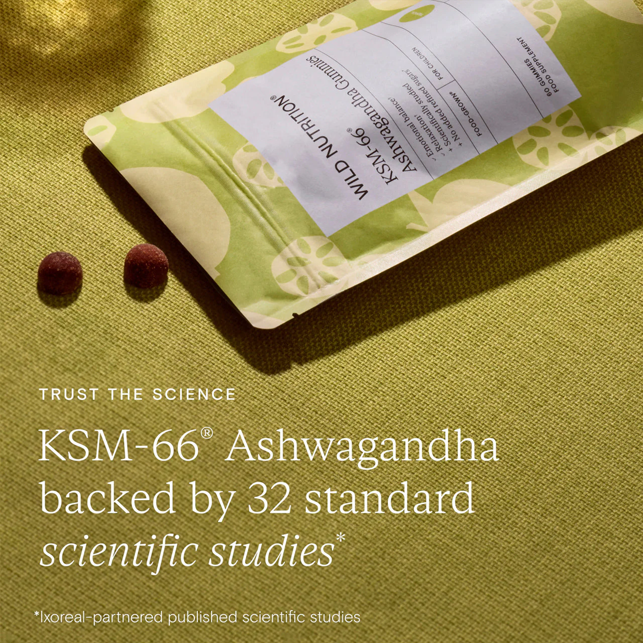 Wild Nutrition Children's KSM-66®  Ashwagandha Gummies - Image 4