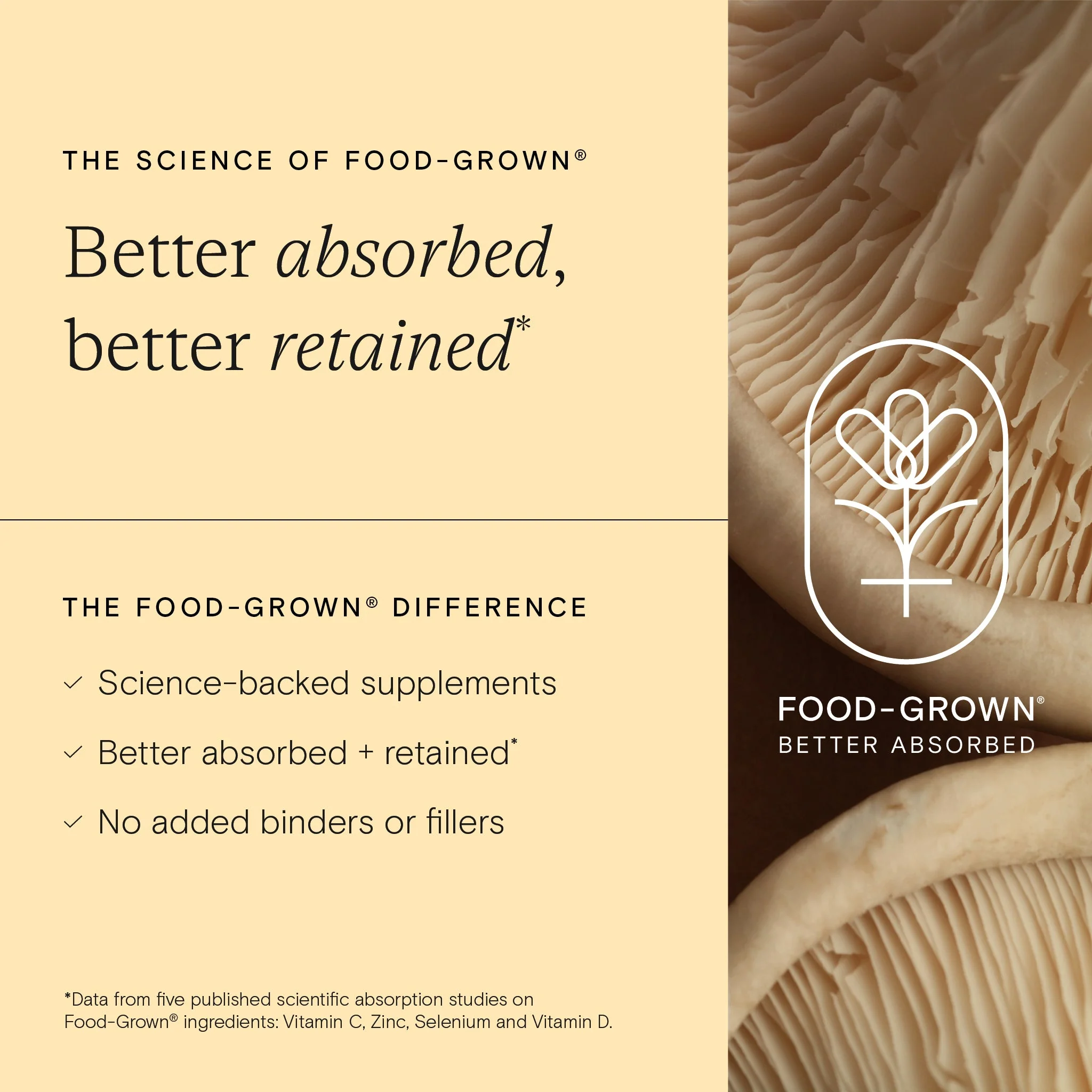 Wild Nutrition Food-Grown® Child's Daily Multi Nutrient - Image 4