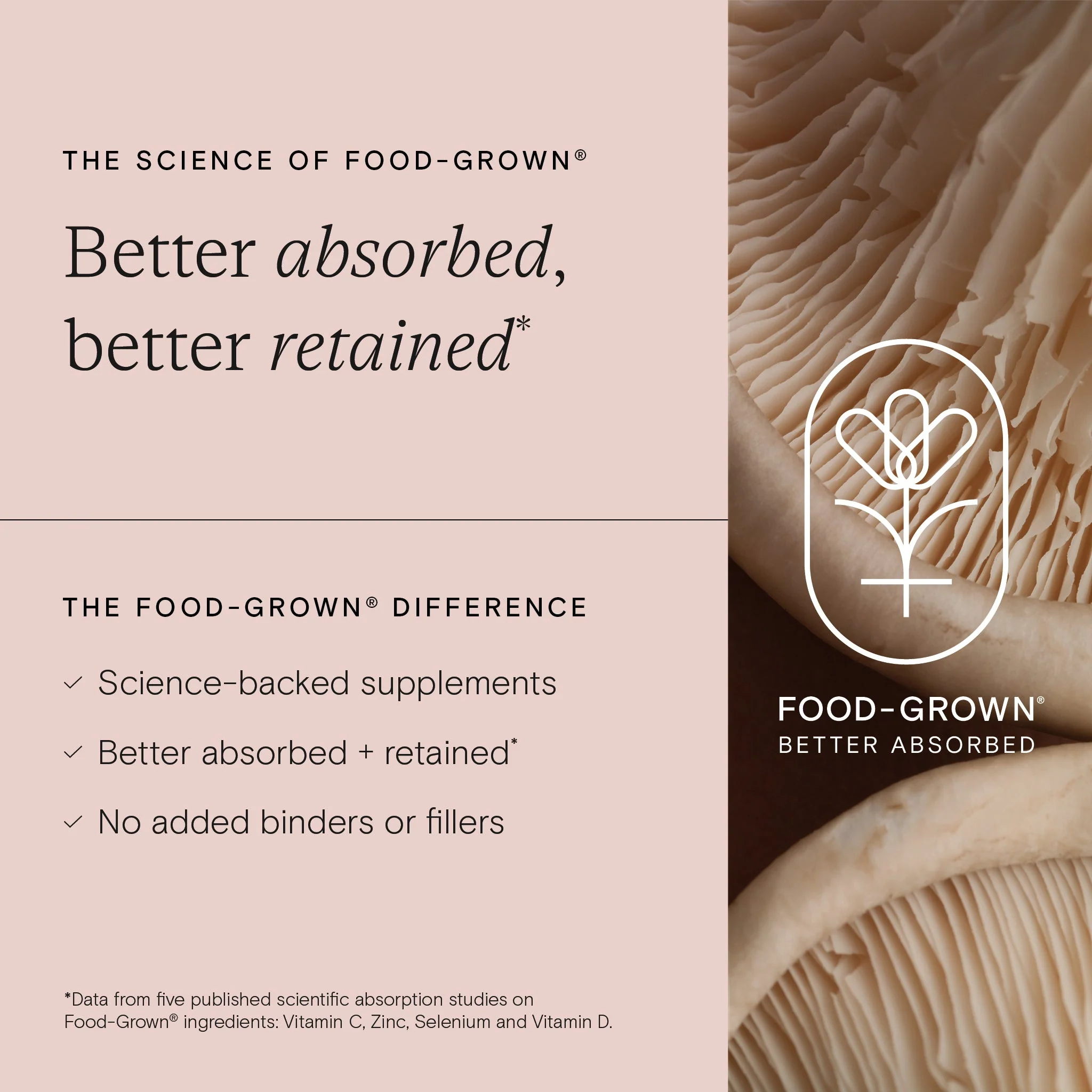 Wild Nutrition Food-Grown® Fertility Support for Women - Image 4