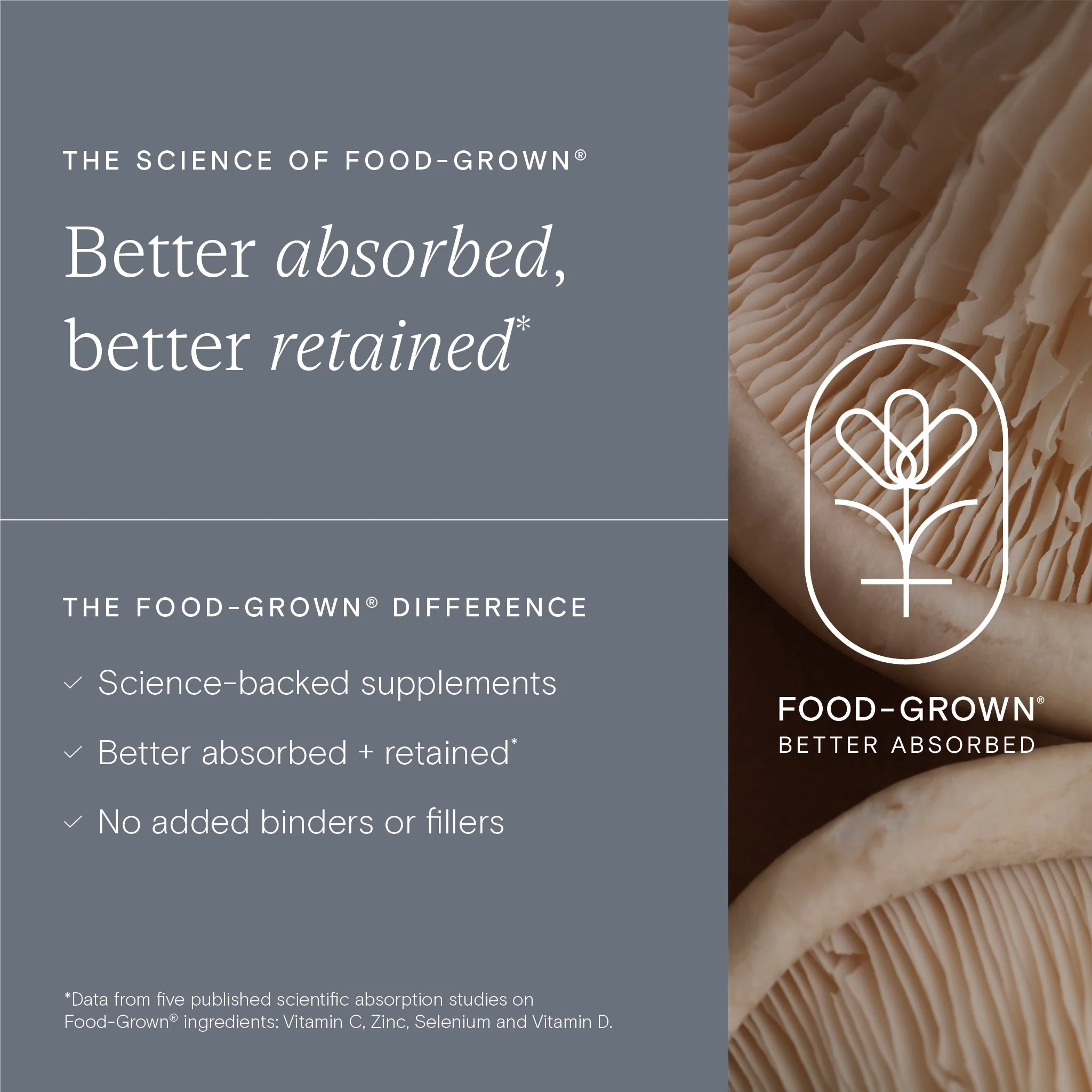 Wild Nutrition Food-Grown® Mens Daily Nutrient - Image 4